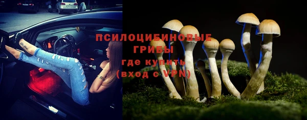 дживик Алексин