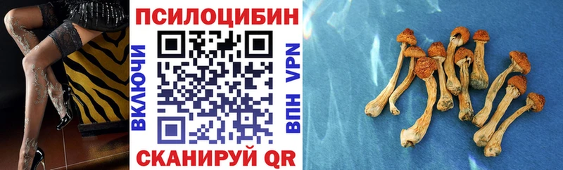 маркетплейс телеграм  Болхов  Галлюциногенные грибы мухоморы 