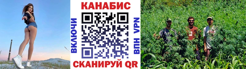 МАРИХУАНА Bruce Banner  продажа наркотиков  Болхов 